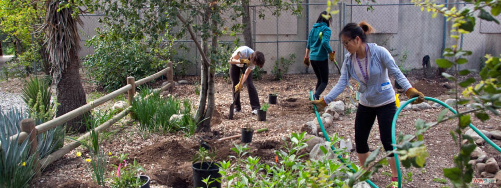 Volunteers planting the BFS teaching garden