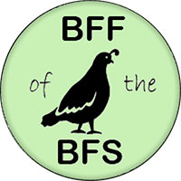 BFF of the BFS button